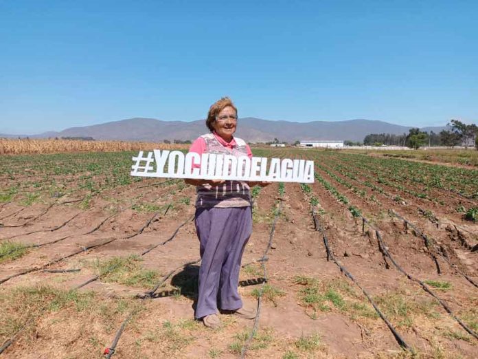 Agricultoras del Norte Chico podrán presentar sus proyectos al segundo concurso nacional de riego de la CNR exclusivo para mujeres