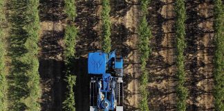 Agromillora en Fruittrade 2023 Mecanización, eficiencia y sostenibilidad