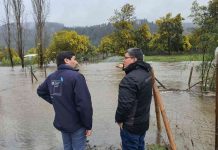 Anuncian subsidios de hasta $40 millones para afectados por las inundaciones