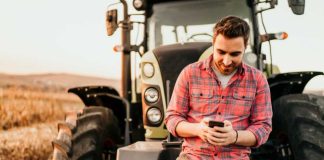 Apuestas y cultivos: Las sorprendentes conexiones entre casinos y agricultura