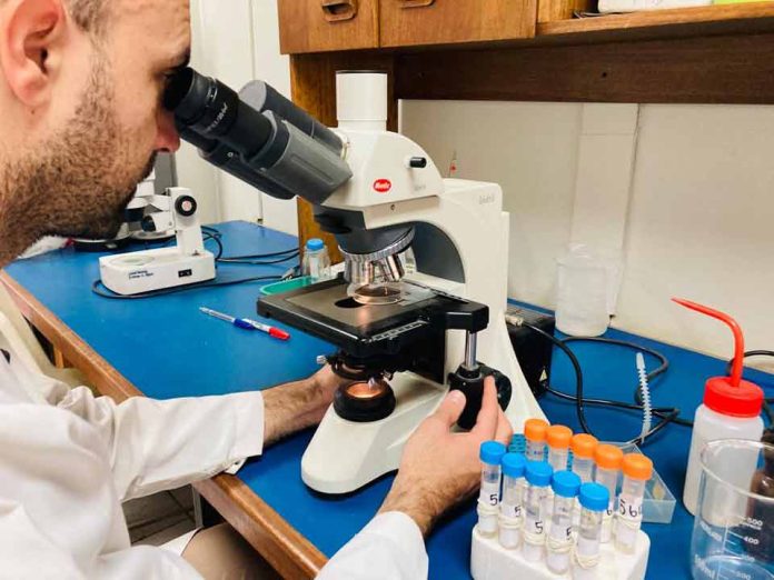 Artículo científico de INIA presenta análisis de tejido vegetal
