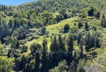 Buscan democratizar la conservación de ecosistemas a través de la venta de terrenos protegidos por el Derecho Real de Conservación