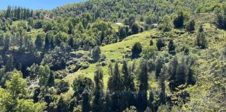 Buscan democratizar la conservación de ecosistemas a través de la venta de terrenos protegidos por el Derecho Real de Conservación