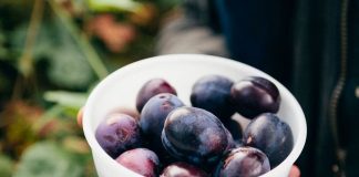 Revolucionario proyecto busca transformar descartes hortofrutícolas en ingredientes funcionales
