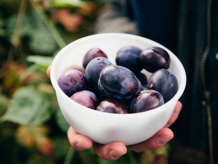 Revolucionario proyecto busca transformar descartes hortofrutícolas en ingredientes funcionales