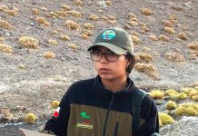 CONAF inicia campaña para estudiar felinos en Parque Nacional Llullaillaco