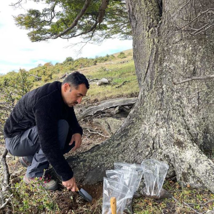 Cada 4 de agosto se celebra el Día de la Cerveza investigadores chilenos desarrollan inéditas variedades de cervezas a partir de bosques nativos