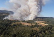 Chile avanza hacia paisajes y comunidades más resilientes a los incendios
