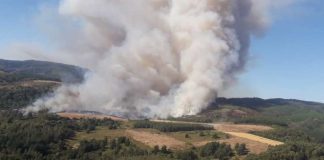 Chile avanza hacia paisajes y comunidades más resilientes a los incendios