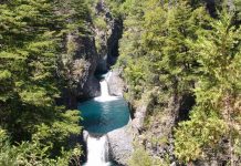 Chile celebra Día Internacional de los Parques Nacionales con avances en conservación en sus áreas protegidas