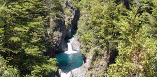 Chile celebra Día Internacional de los Parques Nacionales con avances en conservación en sus áreas protegidas