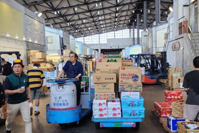 Chile incentiva el conocimiento y consumo de sus limones en Japón