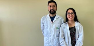 Con charla de agregación de valor en quesos artesanales finalizó ciclo de Charlas Online +Campo Minagri Los Lagos 2023
