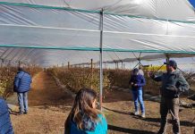 Con una jornada de campo culminó primer Congreso Latinoamericano de Berries