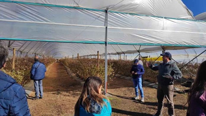 Con una jornada de campo culminó primer Congreso Latinoamericano de Berries