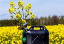 Experto explica cuáles son las ventajas y beneficios del biodiésel: el combustible verde del futuro