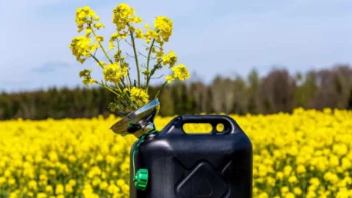 Experto explica cuáles son las ventajas y beneficios del biodiésel: el combustible verde del futuro