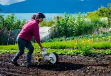 FIA abre una nueva edición del Premio Nacional Mujer AgroInnovadora 2023