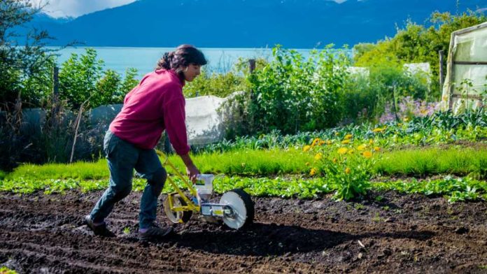 FIA abre una nueva edición del Premio Nacional Mujer AgroInnovadora 2023
