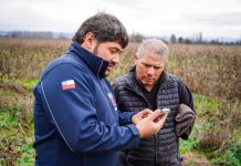 INDAP Invita a productores campesinos a completar encuesta de satisfacción usuaria Mesu