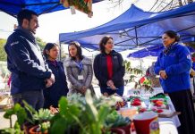 INDAP conmemoró el Día de las y los Campesinos destacando su rol en la soberanía y seguridad alimentaria del Biobío