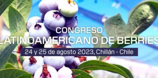 INIA en Congreso Latinomericano de Berries