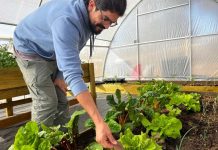 Riego con vasijas de greda, la nueva técnica que promete gran ahorro de agua será validado por INIA en huerta urbana