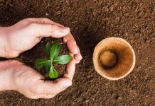 Saneamiento ambiental de suelos contaminados: una materia pendiente y las soluciones que se están implementando