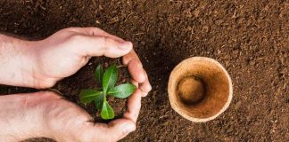 Saneamiento ambiental de suelos contaminados: una materia pendiente y las soluciones que se están implementando