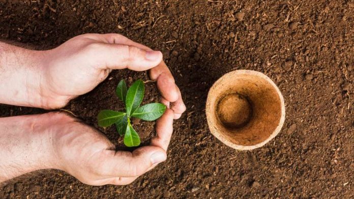 Saneamiento ambiental de suelos contaminados: una materia pendiente y las soluciones que se están implementando