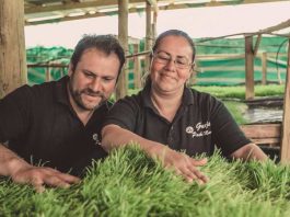 Se abren las postulaciones para encontrar a los Nuevos Héroes que sucederán a los Granjeros del Futuro