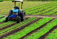 Seguros agrícolas para el cambio climático