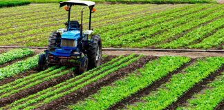 Seguros agrícolas para el cambio climático