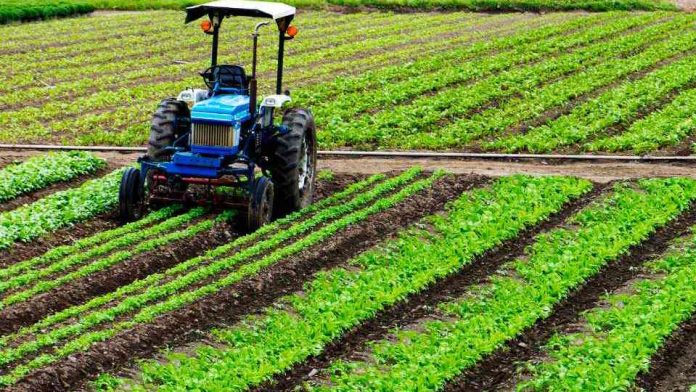 Seguros agrícolas para el cambio climático