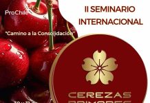 Seminario internacional de Cerezas Primores tendrá su segunda versión en Chile