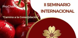Seminario internacional de Cerezas Primores tendrá su segunda versión en Chile
