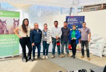Seremi Metropolitana de Agricultura entregó 155 toneladas de alimento animal a productores agrícolas de la RM afectados por inundaciones