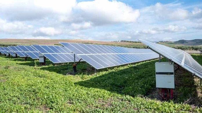 Tecnología Agrovoltaica