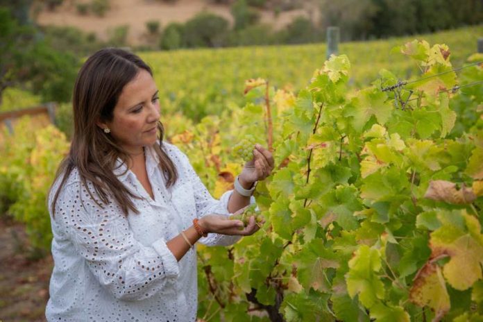 Vinos con menor graduación alcohólica abren una nueva puerta en la industria nacional