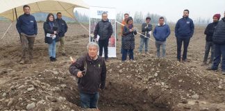 ¿Cómo recuperar un suelo agrícola post inundación Experto de INIA Rayentué dio charla en zona afectada