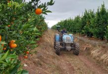 ¿Eres agricultor conoce el programa que te ayuda a enfrentar la escasez hídrica y ser más productivo