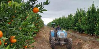 ¿Eres agricultor conoce el programa que te ayuda a enfrentar la escasez hídrica y ser más productivo