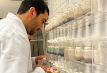Análisis de suelo: la clave para el éxito en la agricultura chilena