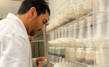 Análisis de suelo: la clave para el éxito en la agricultura chilena