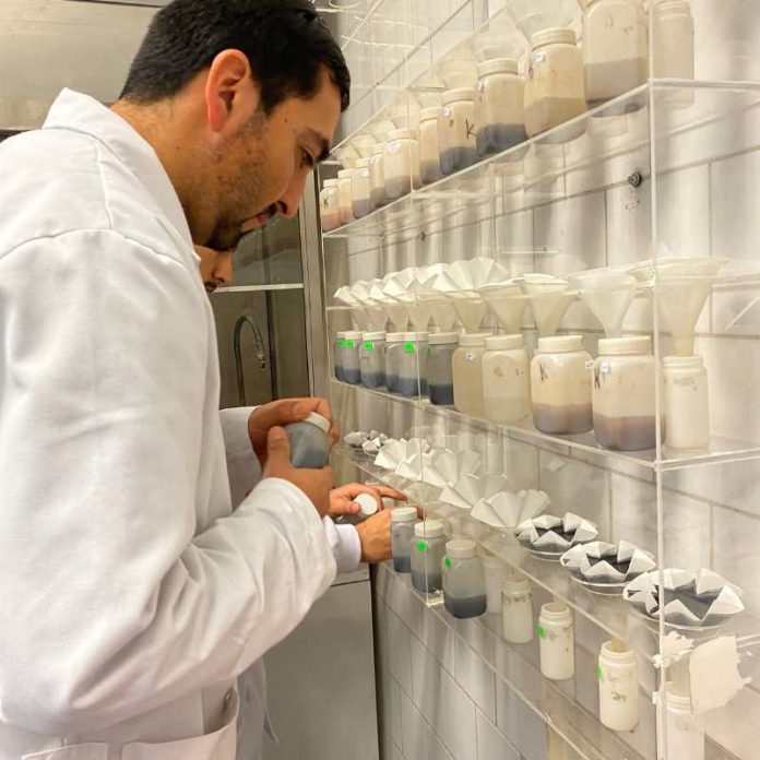Análisis de suelo: la clave para el éxito en la agricultura chilena