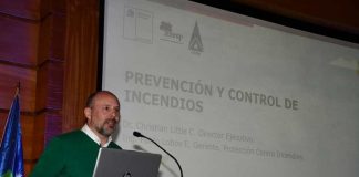 CONAF impulsa nuevo modelo forestal para enfrentar los incendios de vegetación