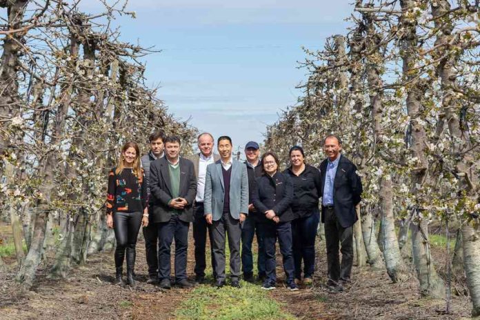 Campañas de promoción se intensificarán en China y habrá una mayor inversión