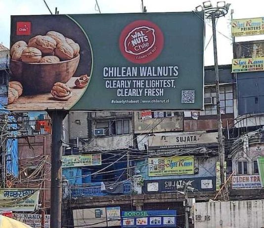 Chilenut ha invertido us$1.5 millones en campañas de promoción de la nuez Chilena en India y Alemania