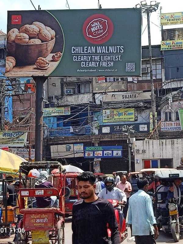 Chilenut ha invertido us$1.5 millones en campañas de promoción de la nuez Chilena en India y Alemania