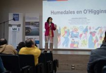 Científicos chilenos buscan convertir humedales en laboratorios naturales